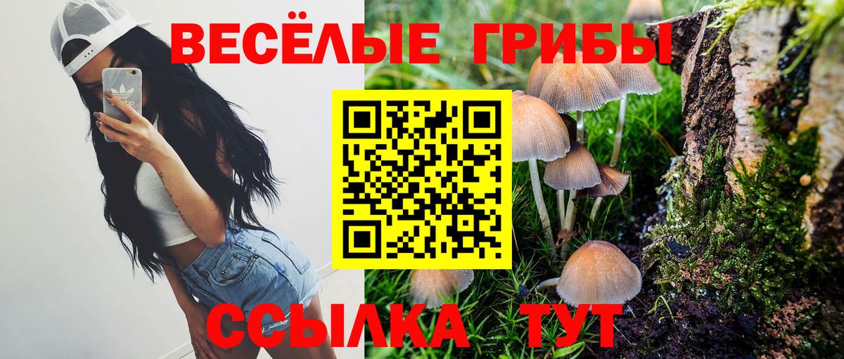 Псилоцибиновые грибы ЛСД Самара