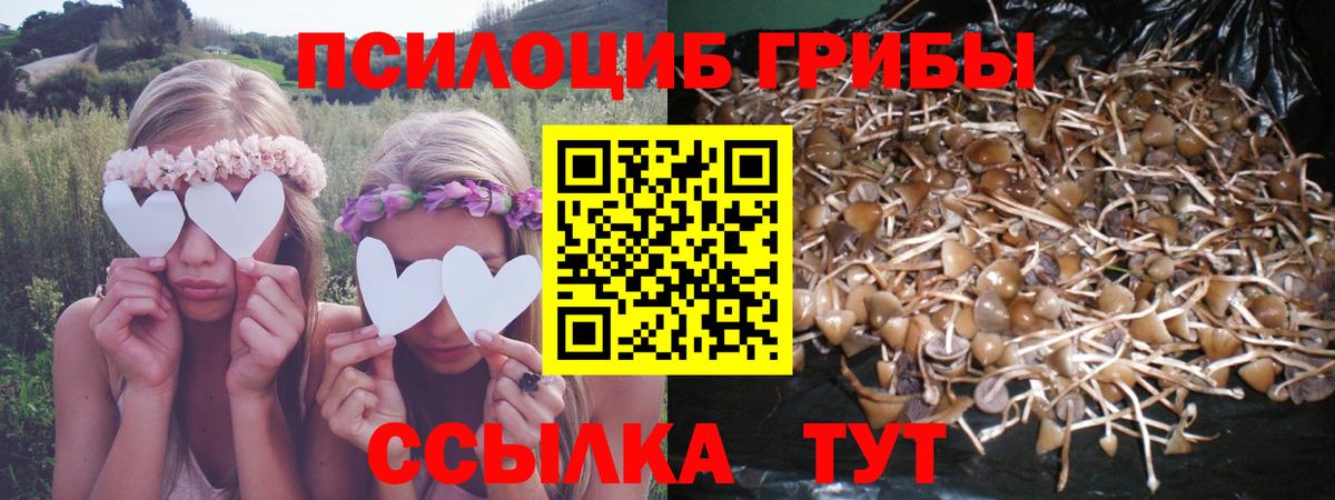 Галлюциногенные грибы мицелий  Вход с VPN  где купить наркоту  Самара 